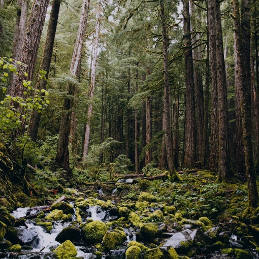 Tap into our Energy and Natural Resources expertise