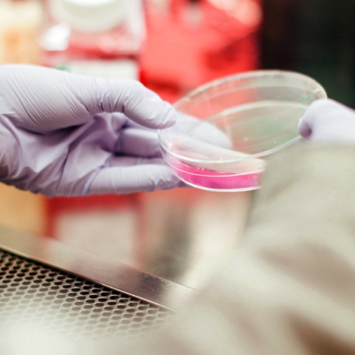 Compare privacy requirements for clinical trials